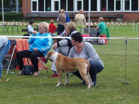 Zomershow 15 juni 2013 